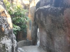 -金鸡山公园