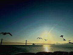-星海广场