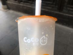 -CoCo都可(惠山古镇店)