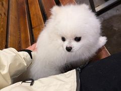 -南园路·韦四烧烤(南园路店)