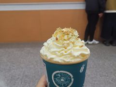 -雾与山茶(大禹城店)