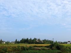 -陶辛水韵