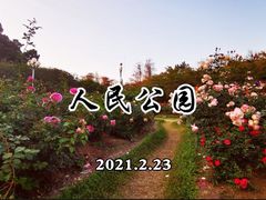 -人民公园(罗湖区)