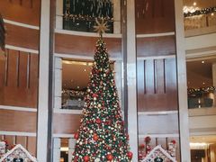 -深圳星河丽思卡尔顿酒店