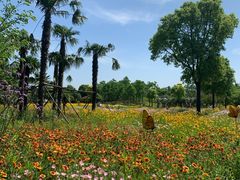 -嬉乐湾休闲旅游区