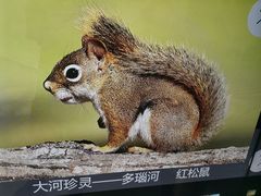 -长江文明馆