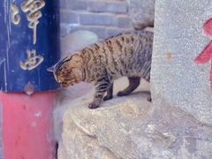 -终南山南五台景区