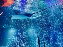 -沈阳海洋探索中心