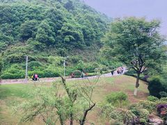 -桃花岭景区