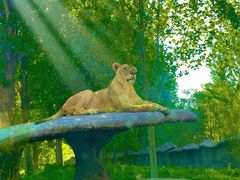-北京野生动物园