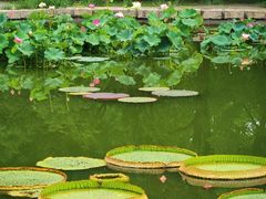 -国家植物园南园