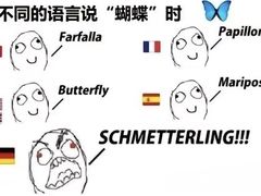 -新东方前途出国留学·小语种(解放碑中心)