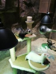 -宝燕乐园(闵行旗舰店)