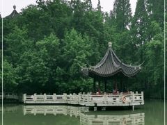 -嘉定紫藤园