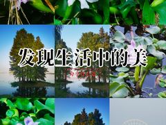 -长广溪湿地公园