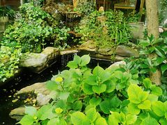 -谷咖啡·鲜花绿植花园餐厅