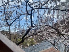-北京水岸山吧度假村(雁栖镇店)