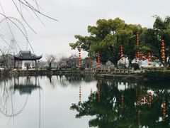 -无锡蠡湖国家湿地公园-蠡园