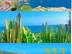 -广东惠东海龟国家级自然保护区