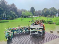 -铁山坪森林公园