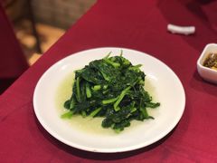 酒香豆苗-老吉士酒家(天平路店)