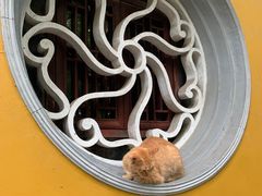 -西园戒幢律寺