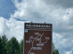 -塞罕坝国家级自然保护区