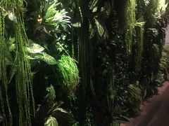 -辣伍鲜毛肚老火锅(元一店)