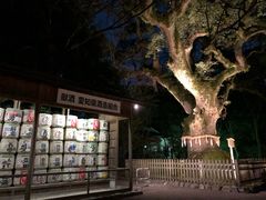 -热田神宫