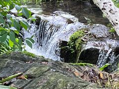-常德桃花源景区