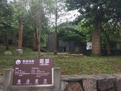 -都江堰中华大熊猫苑