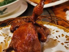 -旺金鸽(穗盐路总店)