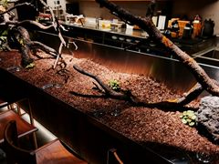 -曲廊院(东四十一条店)