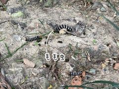 -杭州城北体育公园