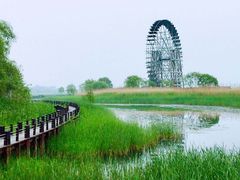 -白鹭园