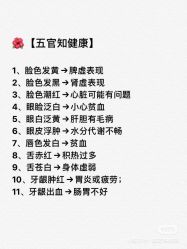 -香薇妮丝女子减肥院