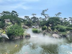 -罗红摄影艺术馆