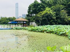 -金鸡湖桃花岛