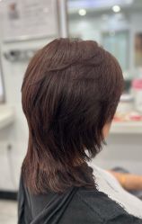 -镁连社·美联社