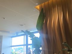 -Bco豆库(星耀天地店)