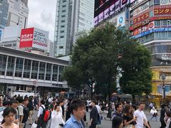 -涩谷全向十字路口