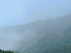 -沂蒙山旅游区云蒙景区(蒙山国家森林公园)