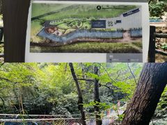 -宁波五龙潭景区