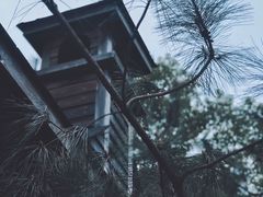 -东湖磨山景区