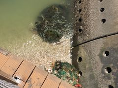 -东疆建设开发纪念公园