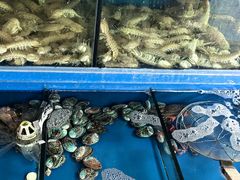 -众想海鲜·烧烤·海肠捞饭·渔家菜(孙家疃店)