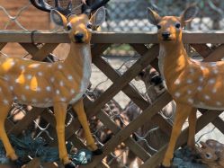 -萌宠亲子动物乐园(槐房万达店)