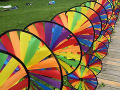 -武陵山森林公园