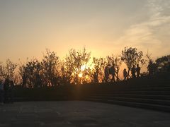 -金鸡山公园