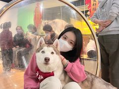 -Husky Go! 哈士奇体验馆·宠物咖啡厅狗咖